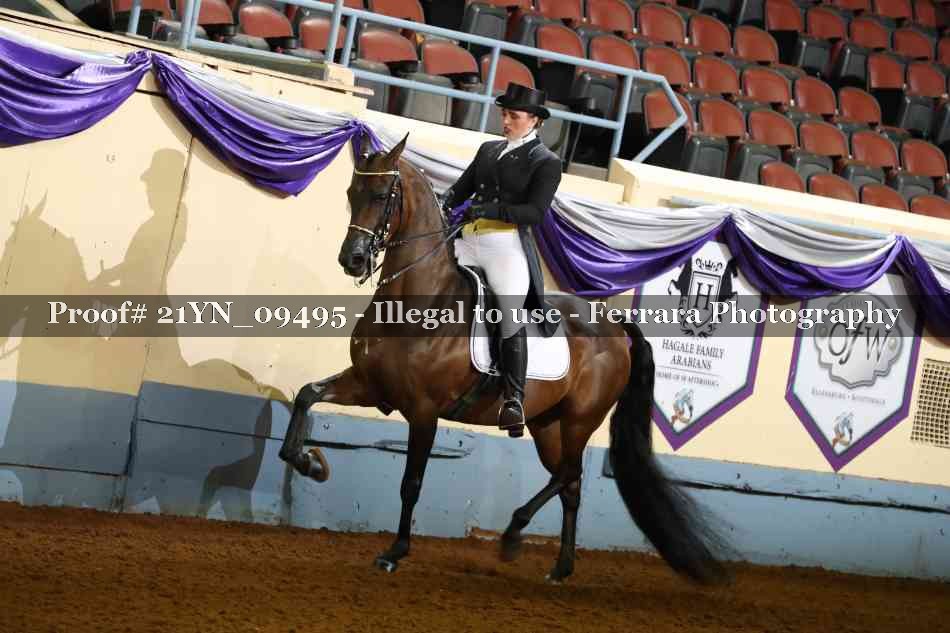Proof 21YN_09495