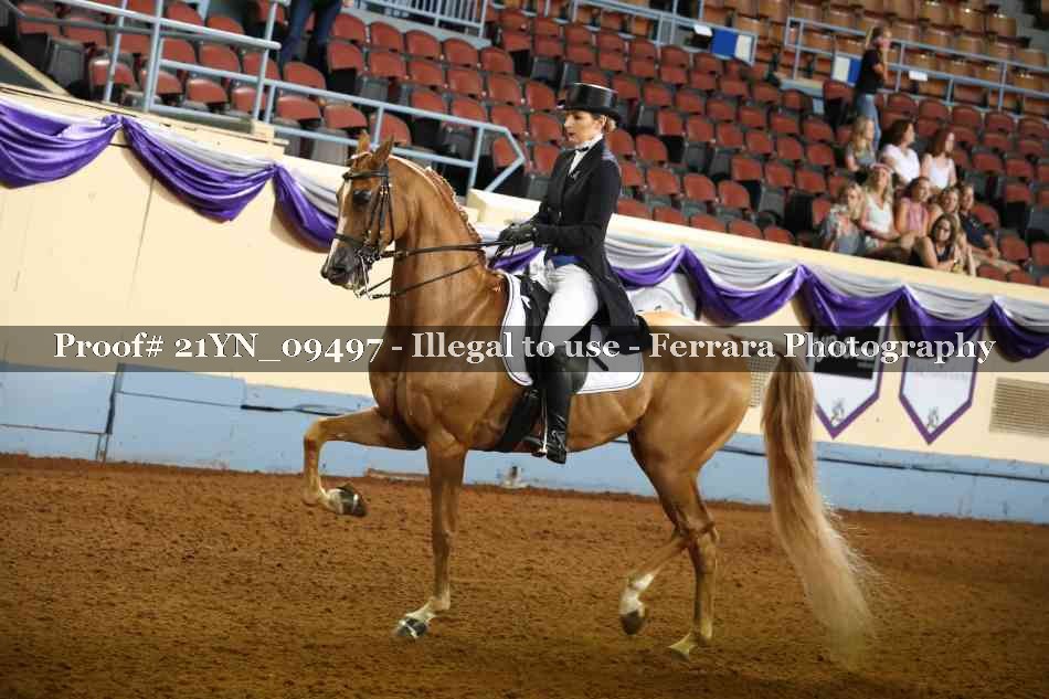 Proof 21YN_09497