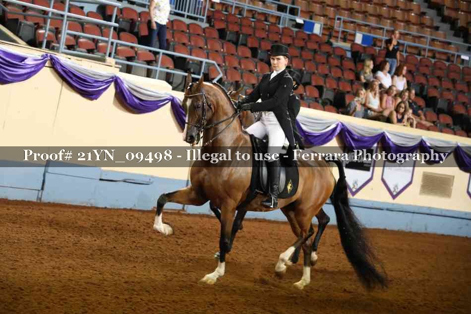 Proof 21YN_09498