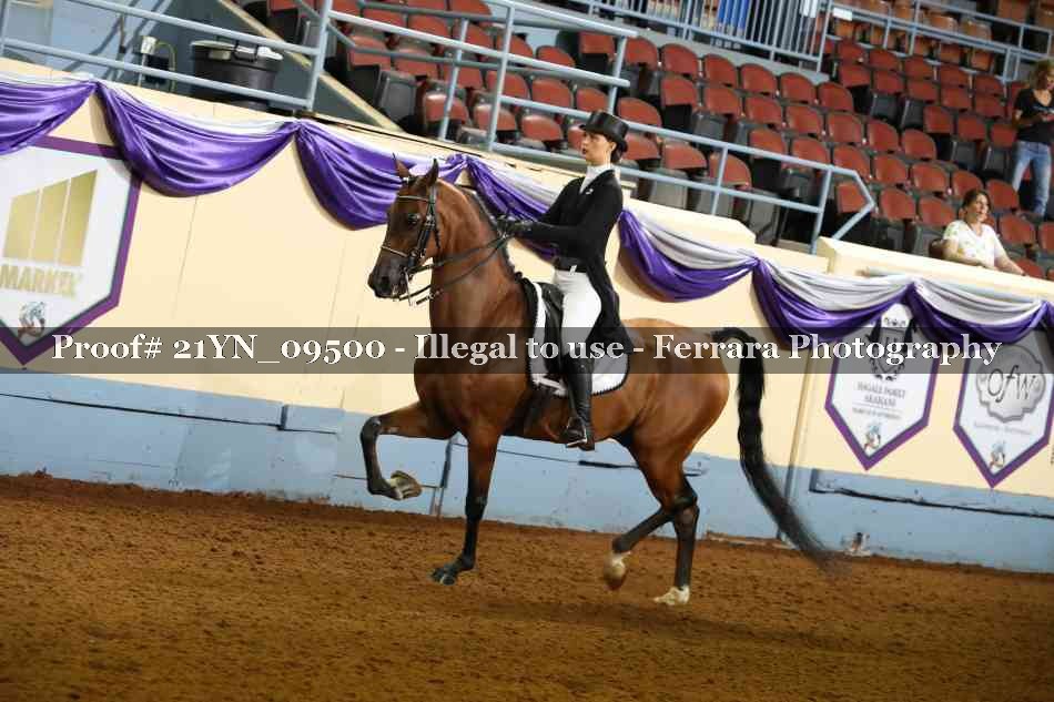 Proof 21YN_09500