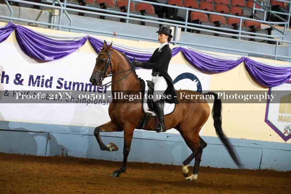 Proof 21YN_09501