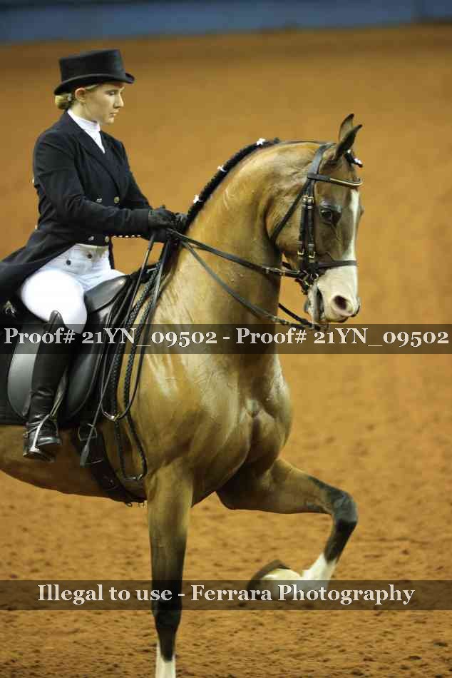 Proof 21YN_09502