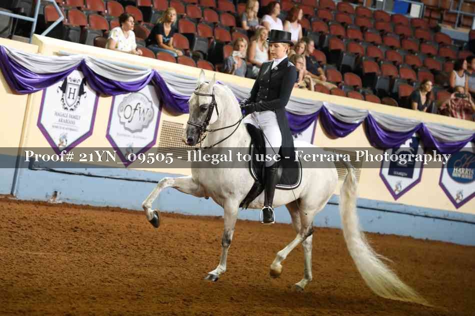 Proof 21YN_09505