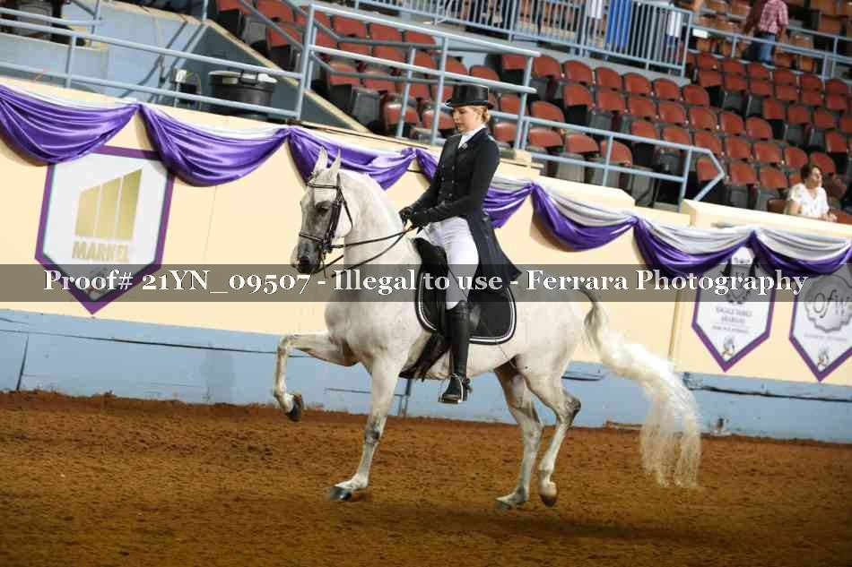 Proof 21YN_09507
