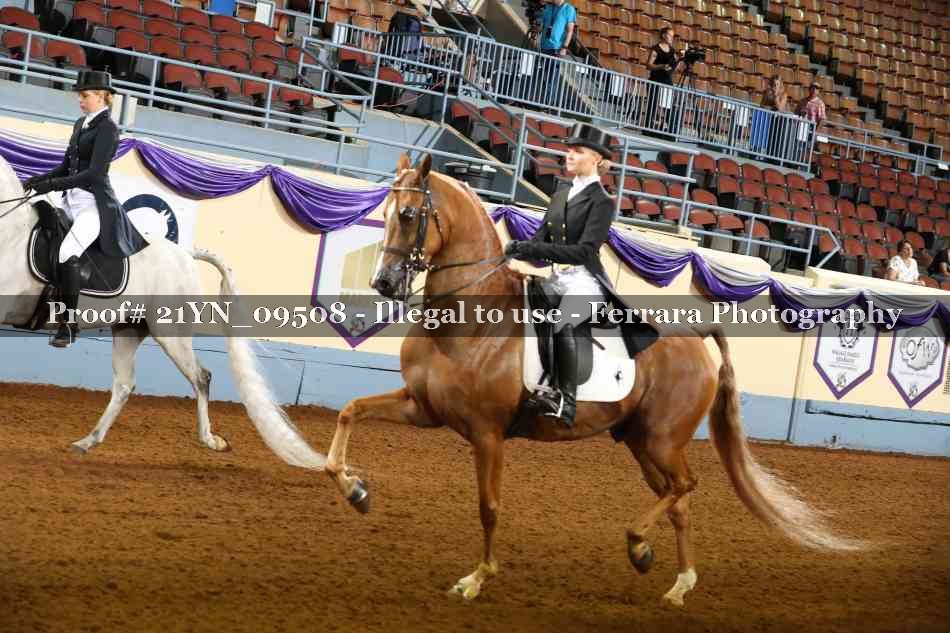 Proof 21YN_09508