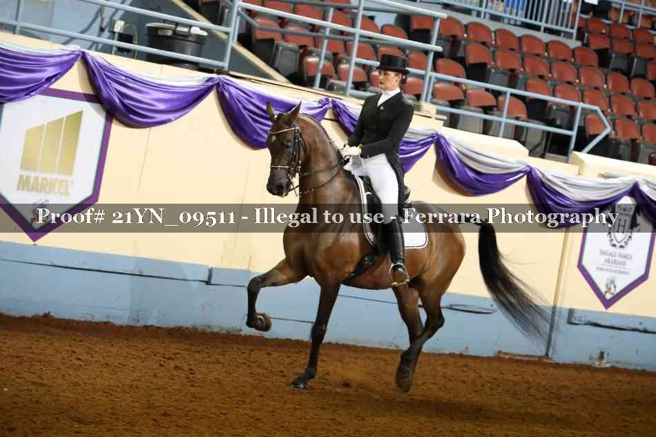 Proof 21YN_09511