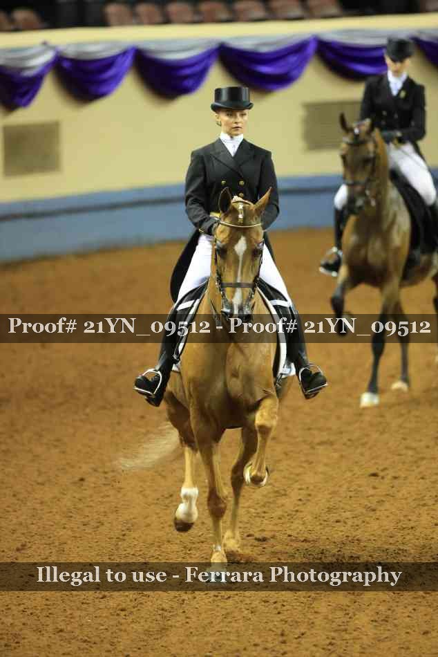 Proof 21YN_09512