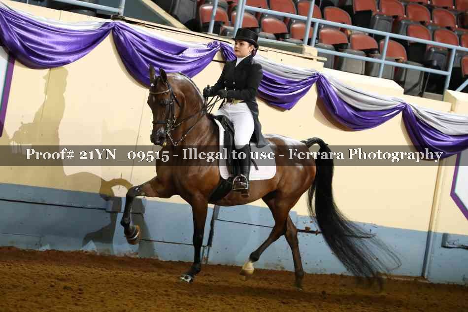Proof 21YN_09515