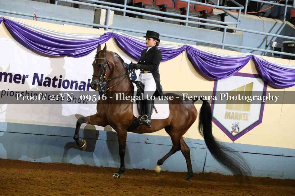 Proof 21YN_09516