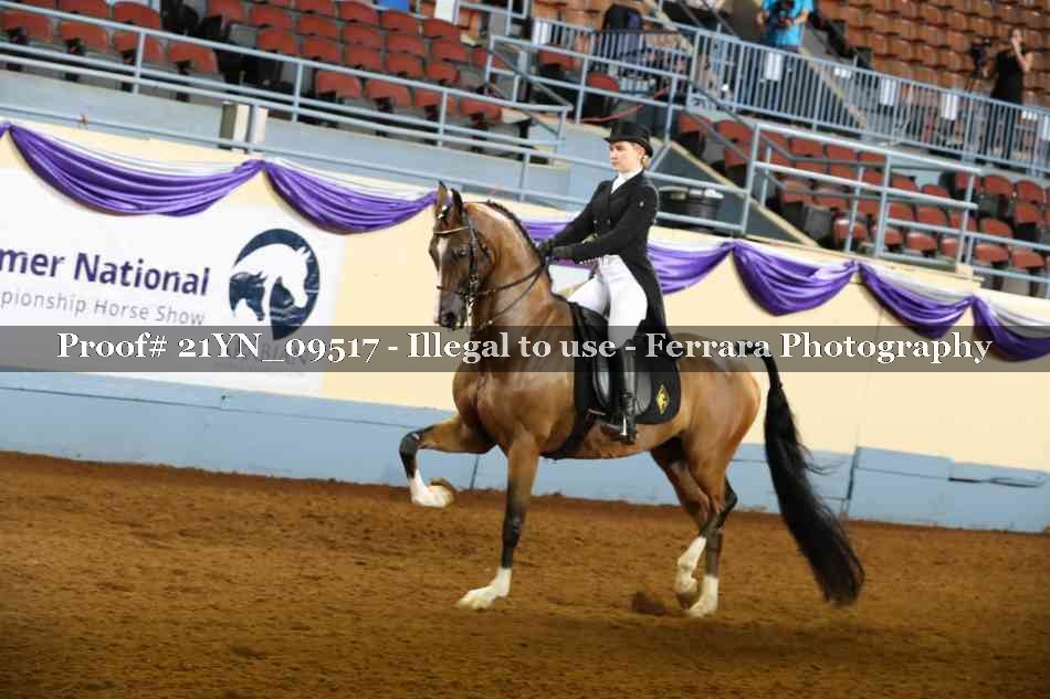 Proof 21YN_09517