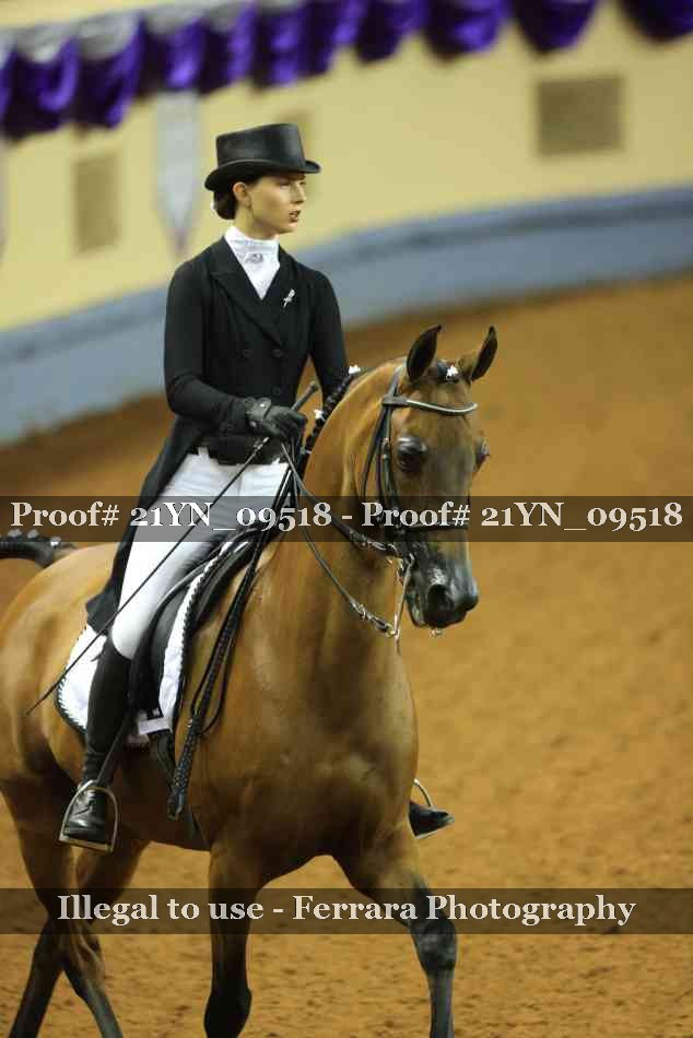 Proof 21YN_09518