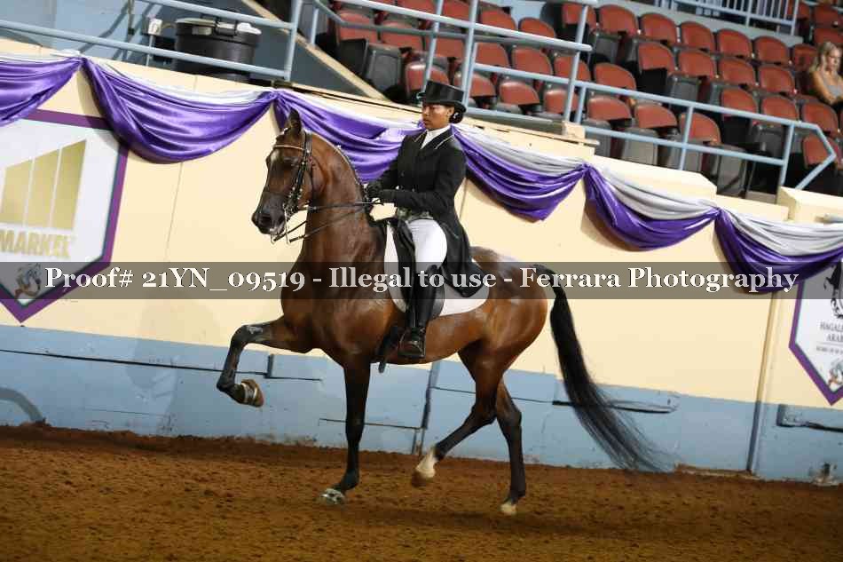 Proof 21YN_09519