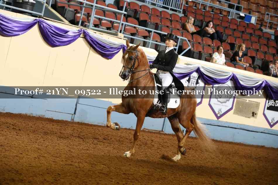 Proof 21YN_09522