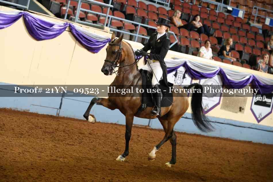 Proof 21YN_09523