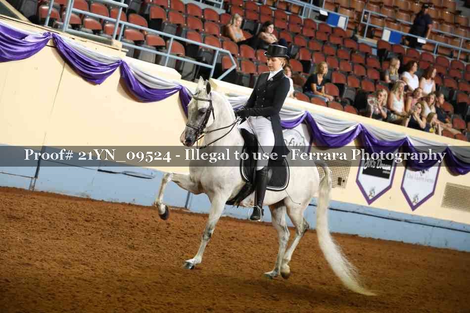Proof 21YN_09524