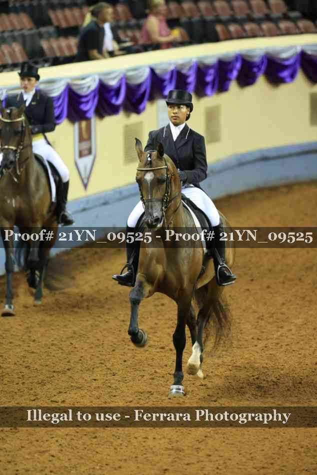 Proof 21YN_09525