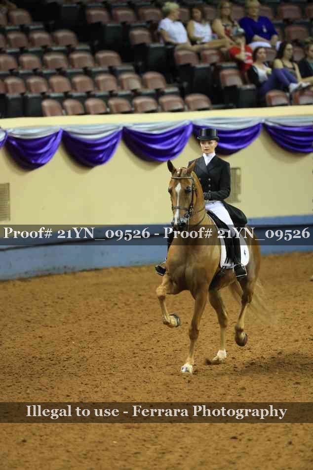 Proof 21YN_09526