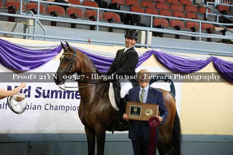 Proof 21YN_09527