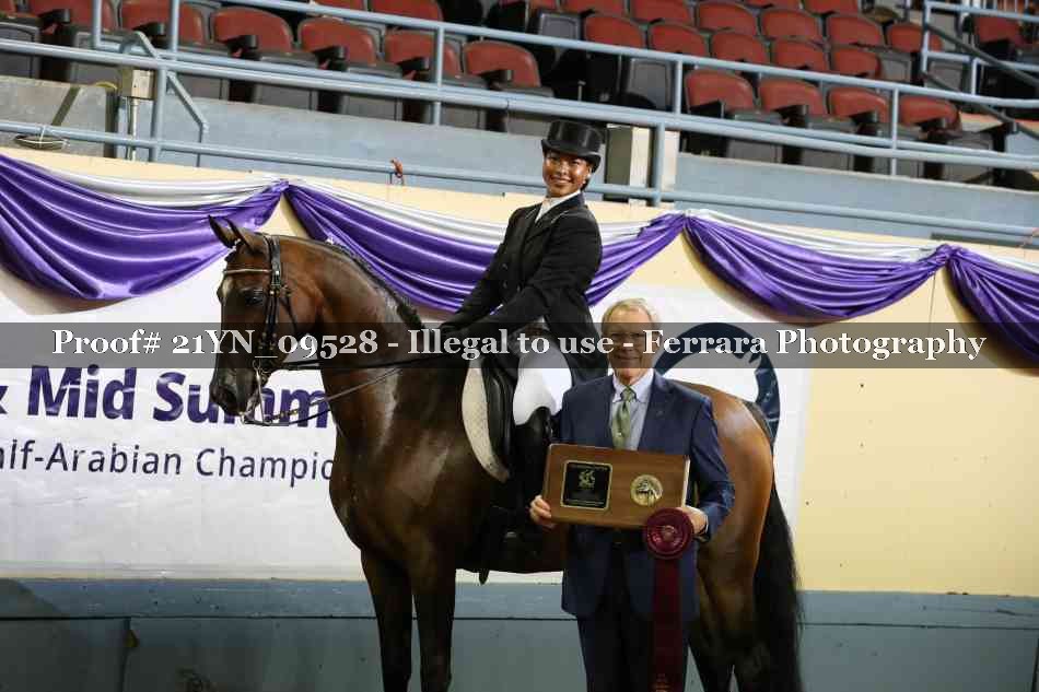 Proof 21YN_09528