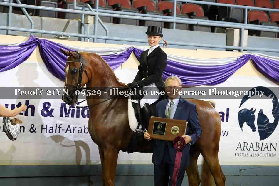 Proof 21YN_09529