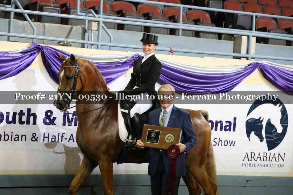 Proof 21YN_09530