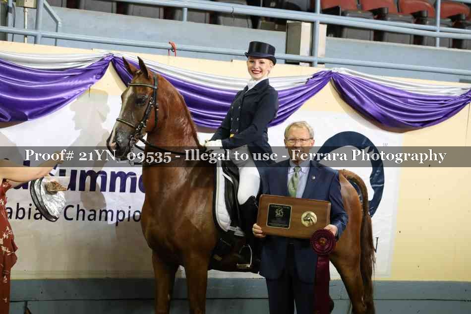 Proof 21YN_09535