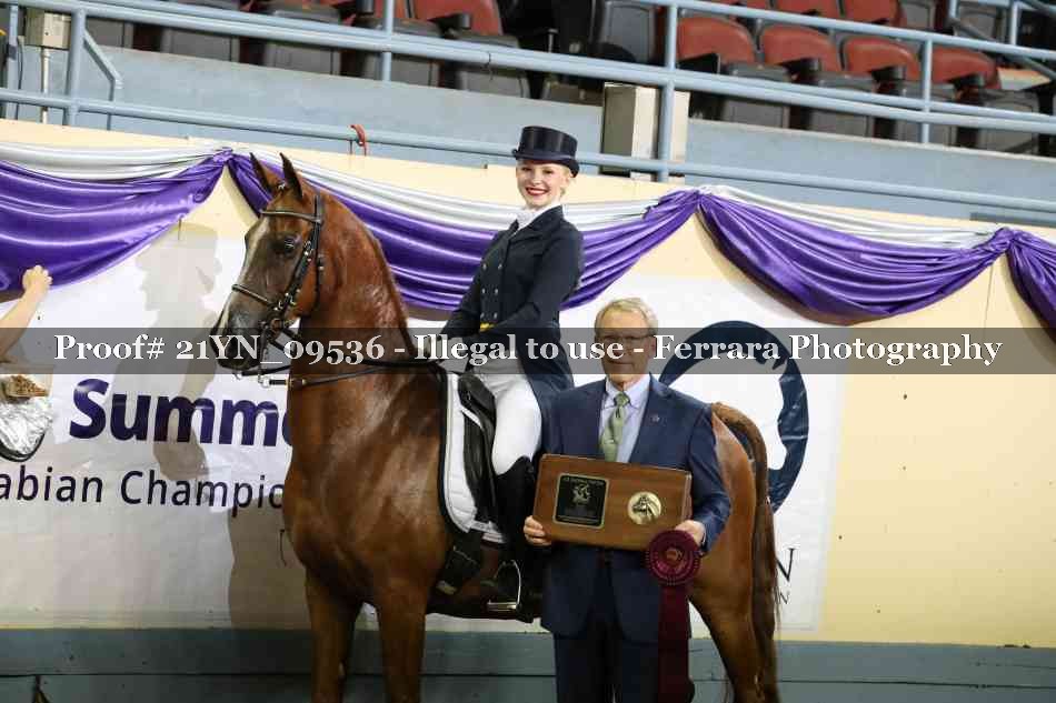 Proof 21YN_09536