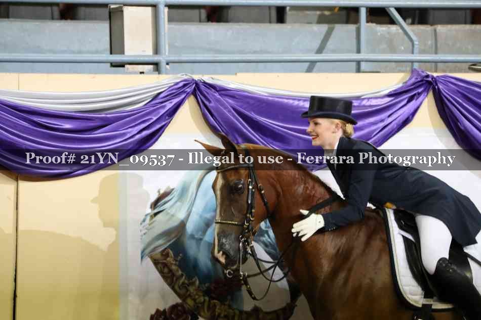 Proof 21YN_09537