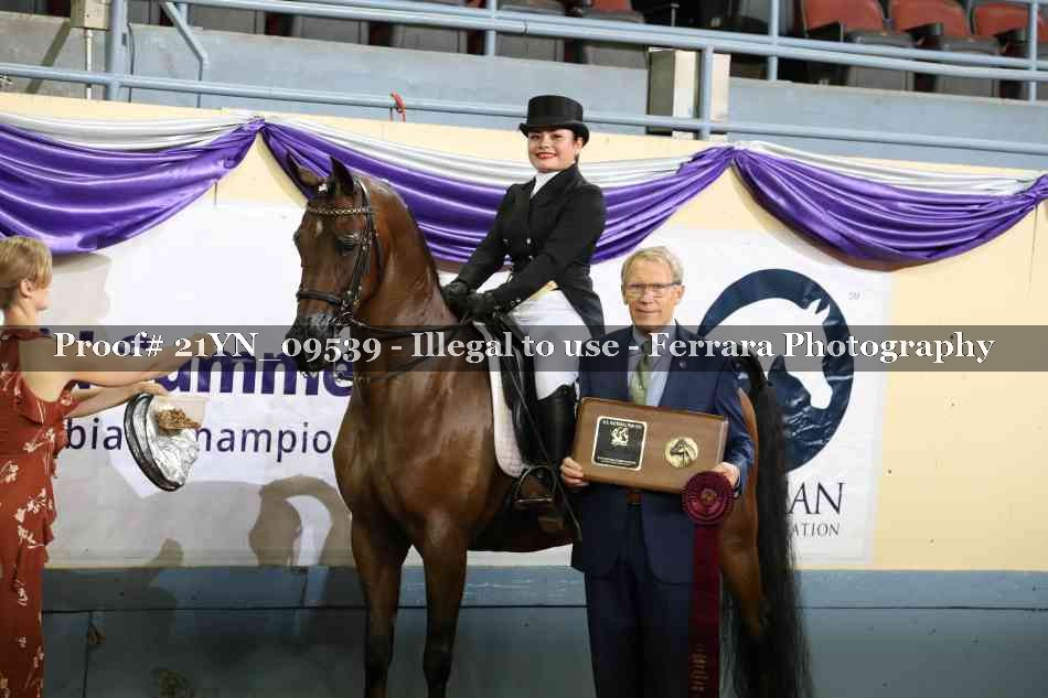 Proof 21YN_09539