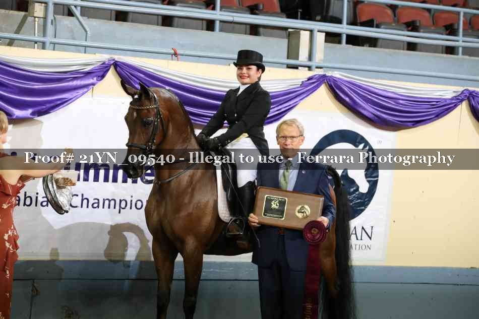 Proof 21YN_09540