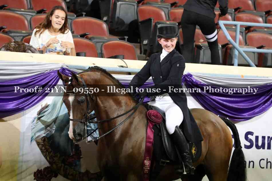 Proof 21YN_09550