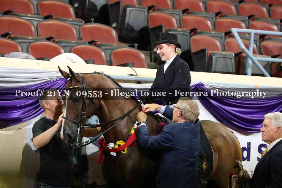 Proof 21YN_09553