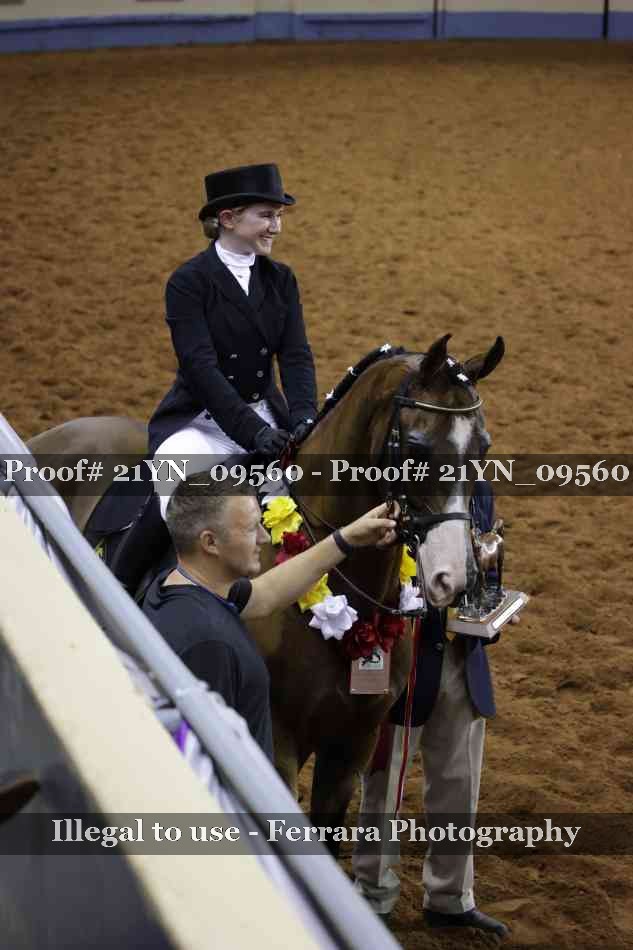 Proof 21YN_09560