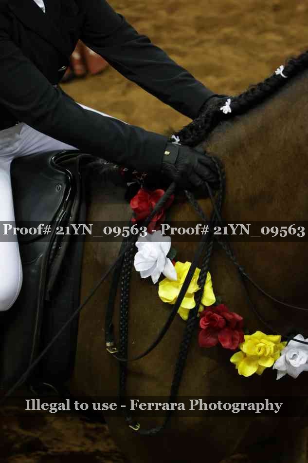 Proof 21YN_09563
