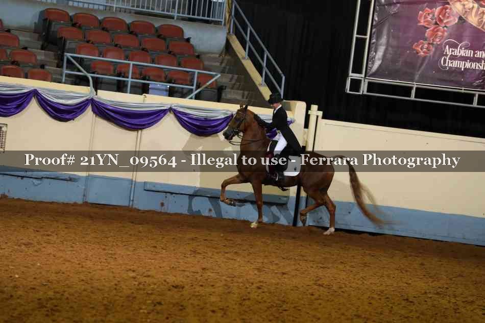 Proof 21YN_09564