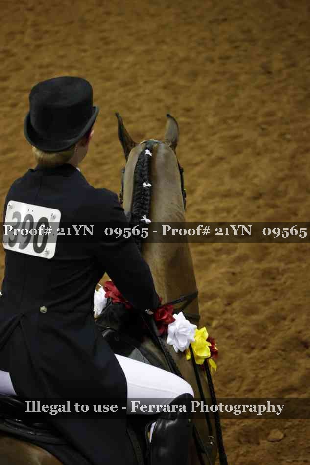 Proof 21YN_09565