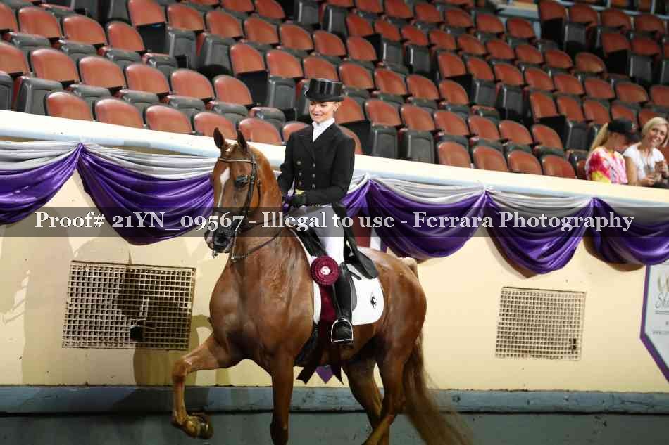 Proof 21YN_09567