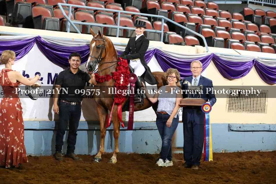 Proof 21YN_09575