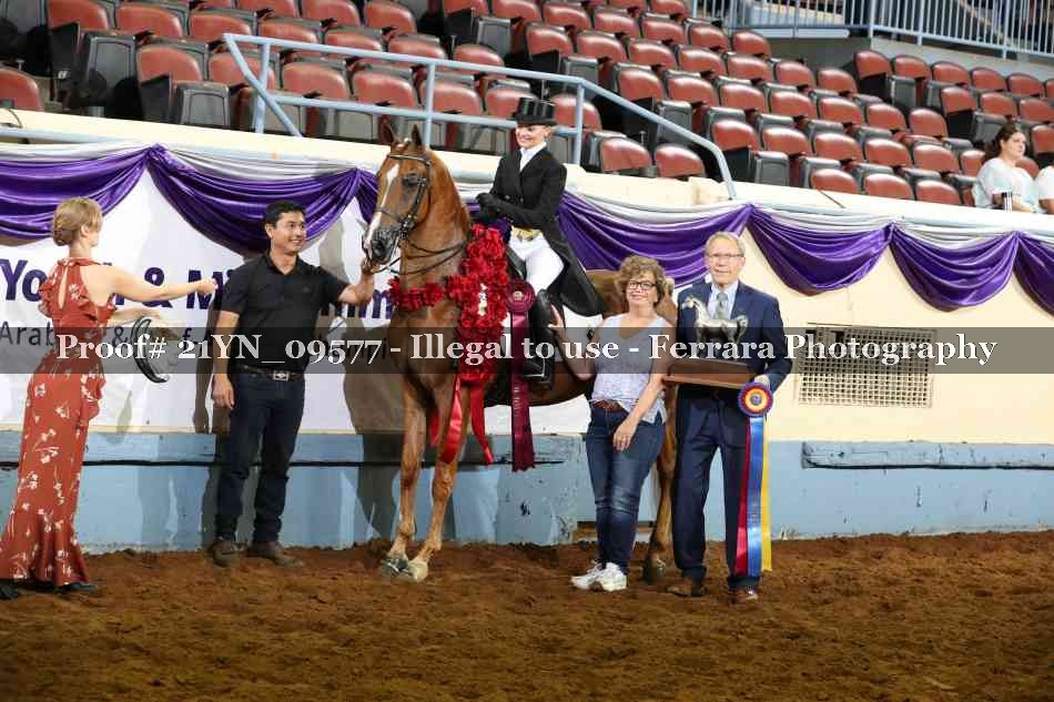 Proof 21YN_09577