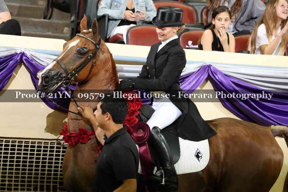 Proof 21YN_09579