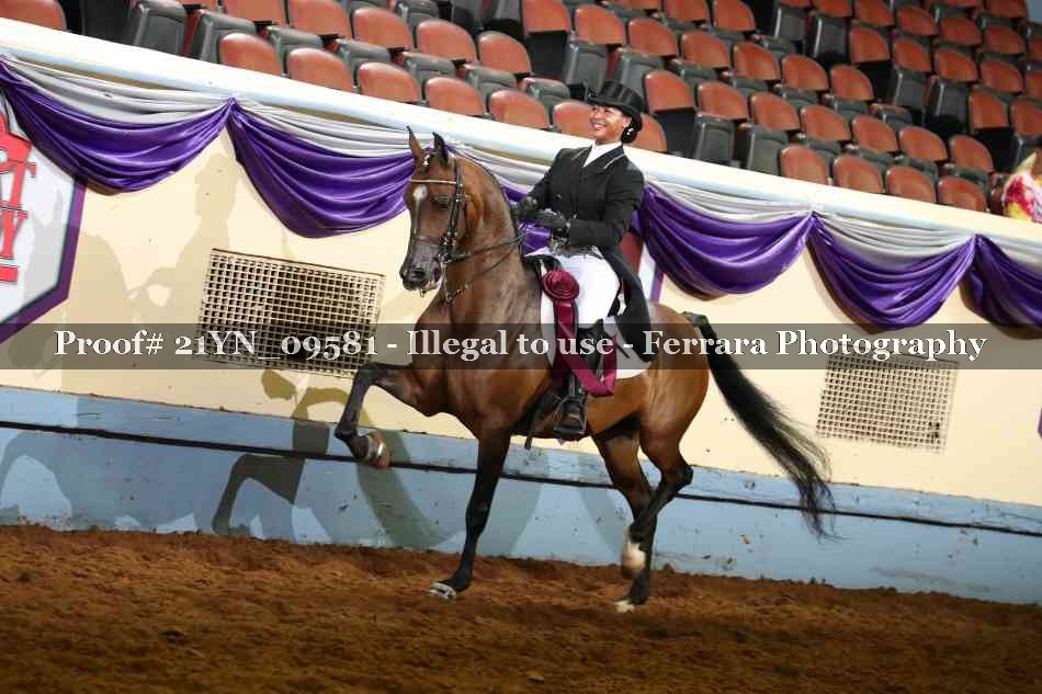 Proof 21YN_09581