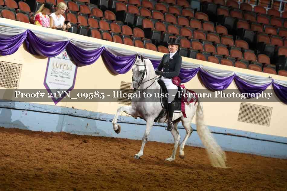 Proof 21YN_09585