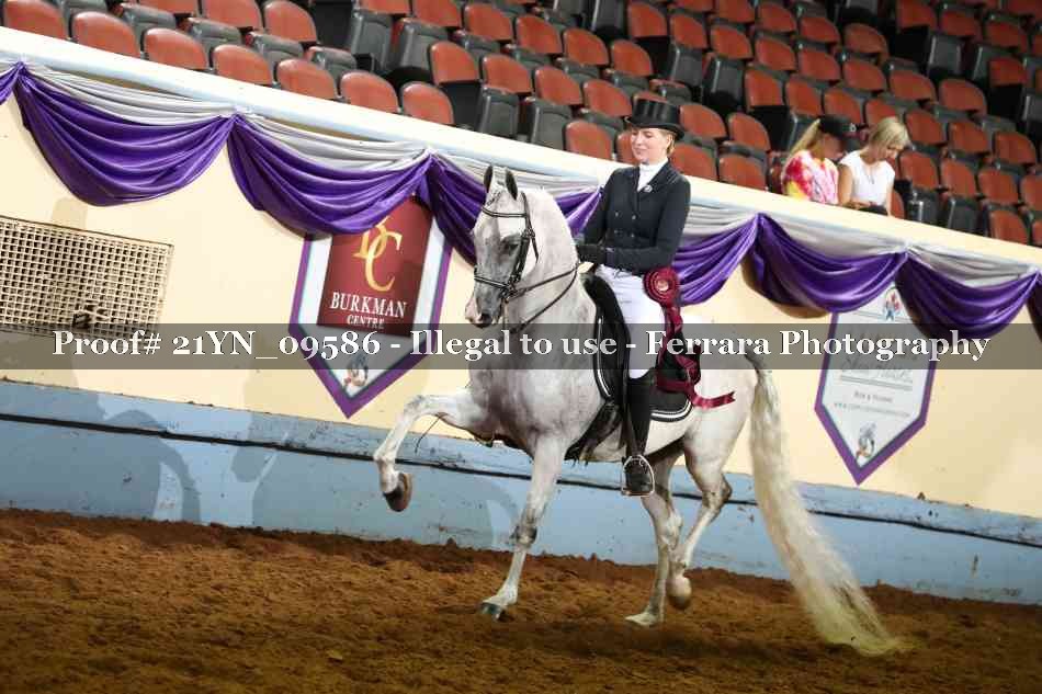 Proof 21YN_09586