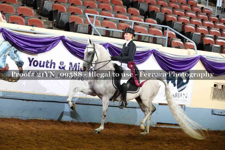 Proof 21YN_09588