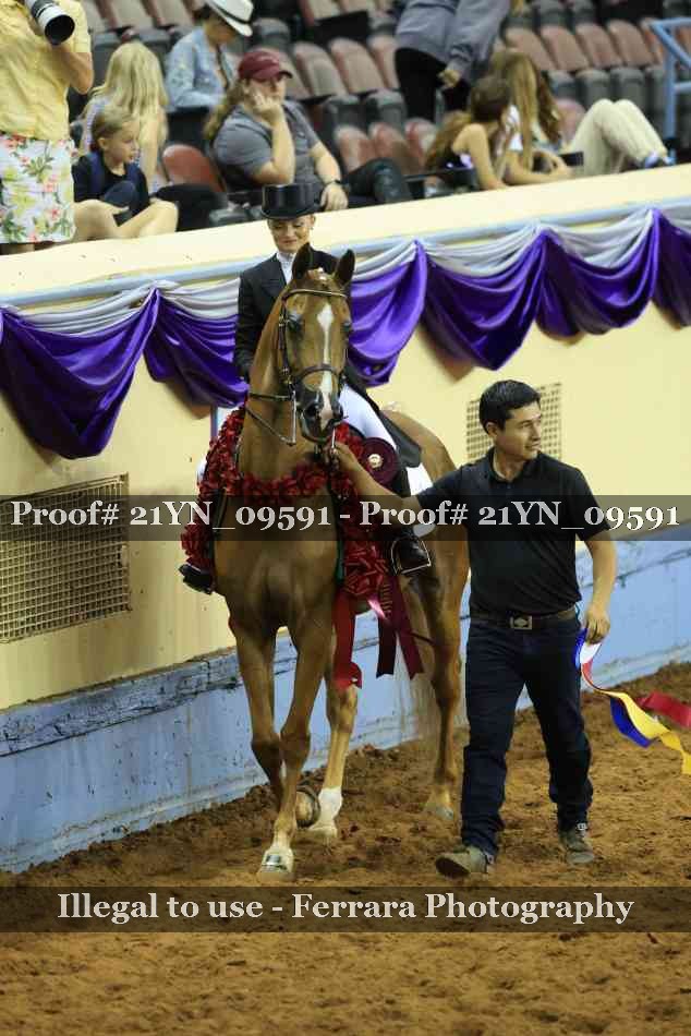 Proof 21YN_09591
