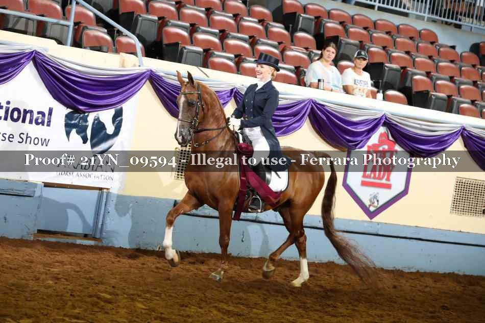 Proof 21YN_09594