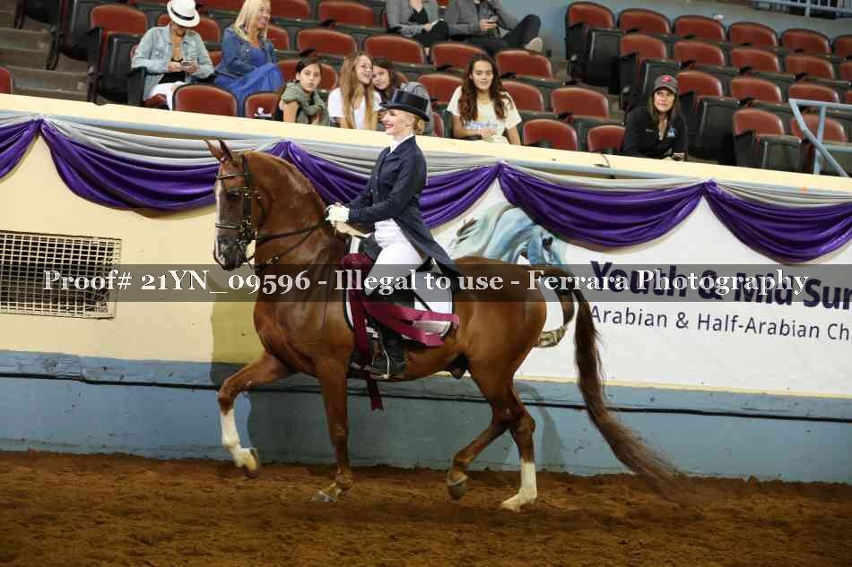 Proof 21YN_09596