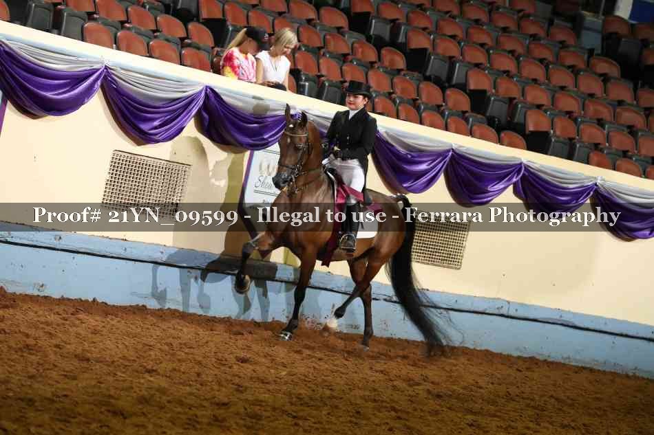 Proof 21YN_09599
