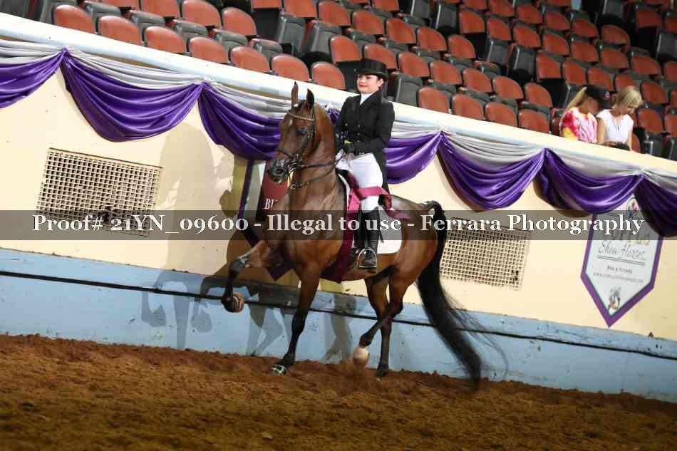 Proof 21YN_09600