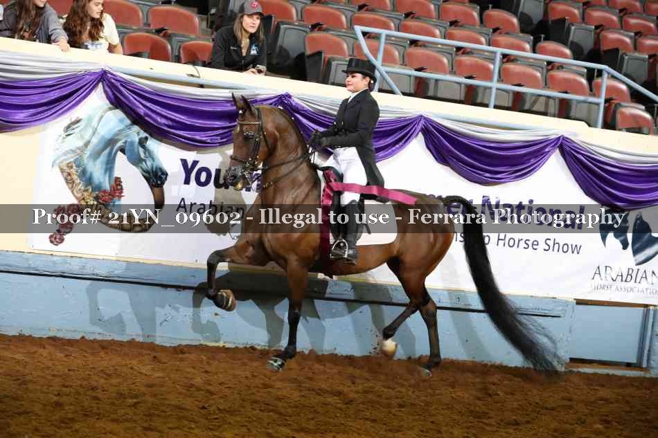 Proof 21YN_09602